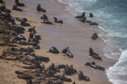 Zona Reservada Illescas. Foto: Conservamos por Naturaleza