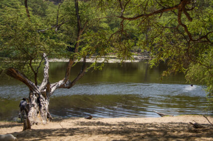 Zona Reservada Illescas. Foto: Conservamos por Naturaleza