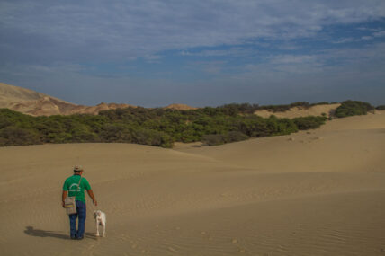 Zona Reservada Illescas. Foto: Conservamos por Naturaleza