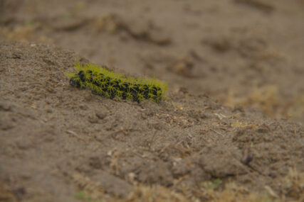 Zona Reservada Illescas. Foto: Conservamos por Naturaleza