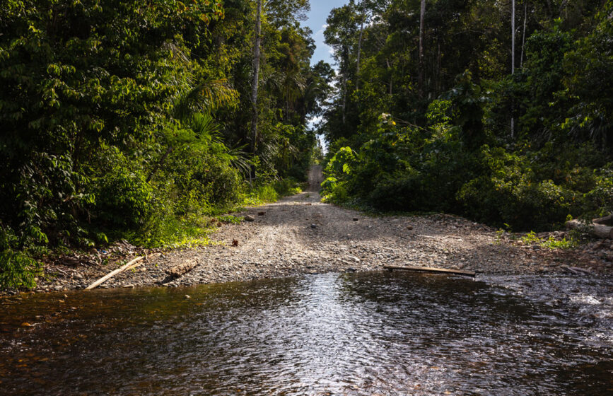 Foto: Diego Pérez / SPDA