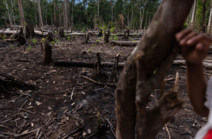 Foto: Diego Pérez / SPDA