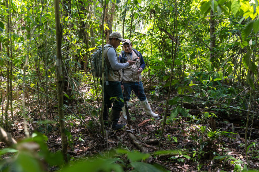 Foto: Diego Perez / SPDA