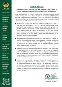 pronunciamiento ORPIO EIB