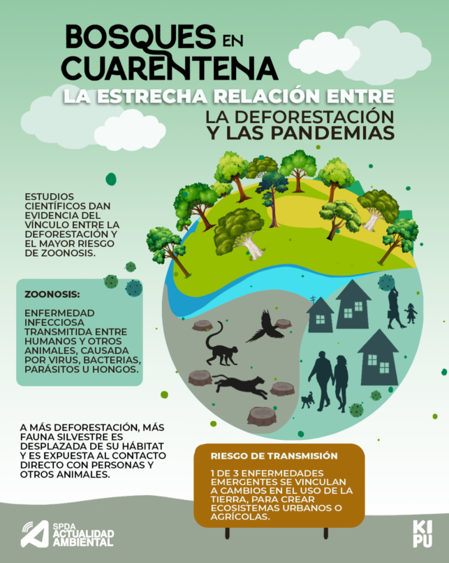 20220321 Infografía_Bosques en cuarentena_relacion entre deforestacion y pandemias_SPDA_1