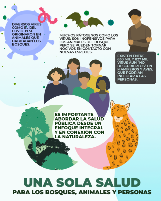20220321 Infografía_Bosques en cuarentena_relacion entre deforestacion y pandemias_SPDA_2 final