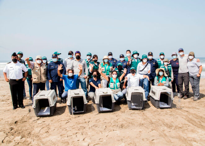 liberacion-de-aves---derrame-de-petroleo-sebastian-sarmiento-spda8--