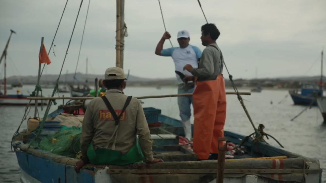 Foto: Nicolás Landa