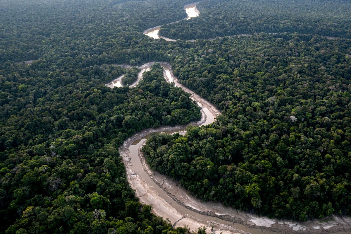 Parque Nacional Yaguas