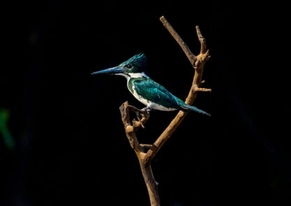 Parque Nacional Yaguas