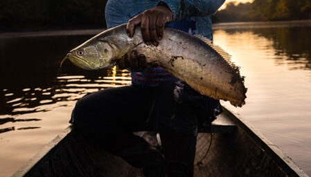 Parque Nacional Yaguas