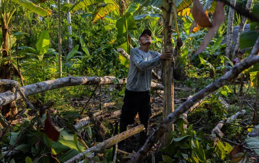 Santa-María-de-Loreto_DiegoPérez_2