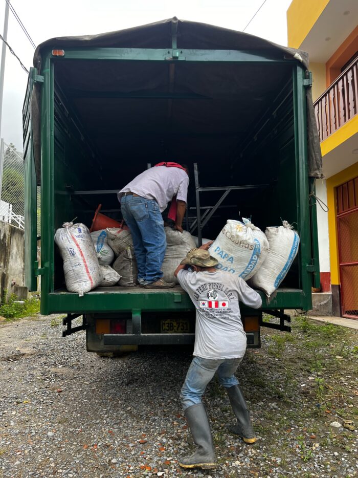 reforestacion-amazonas-francisco-melendez