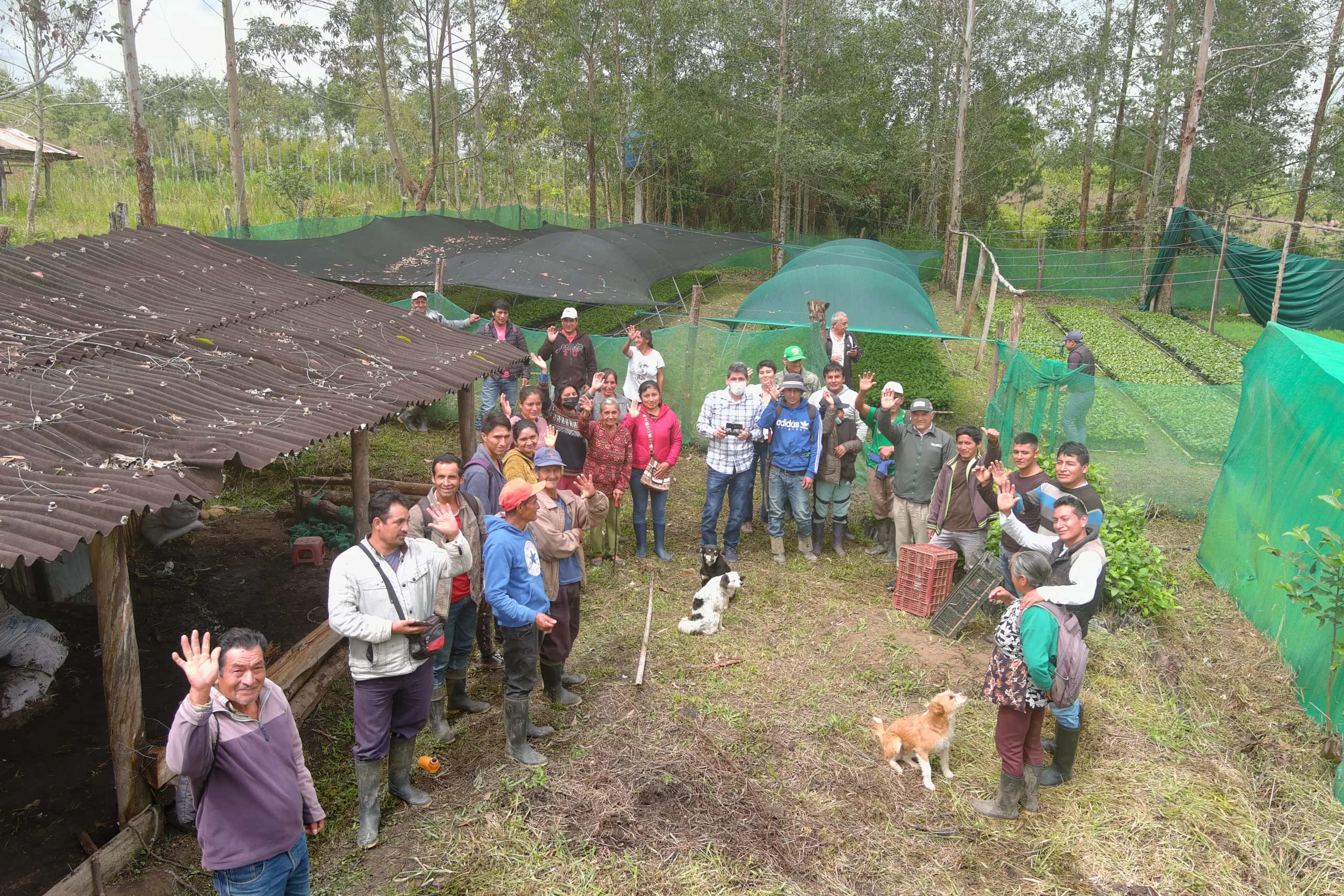 reforestacion-cuispes-amazonas-foto-piero-rengifo