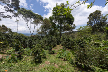 Marlondag_SPDA GCF22-10-11_105