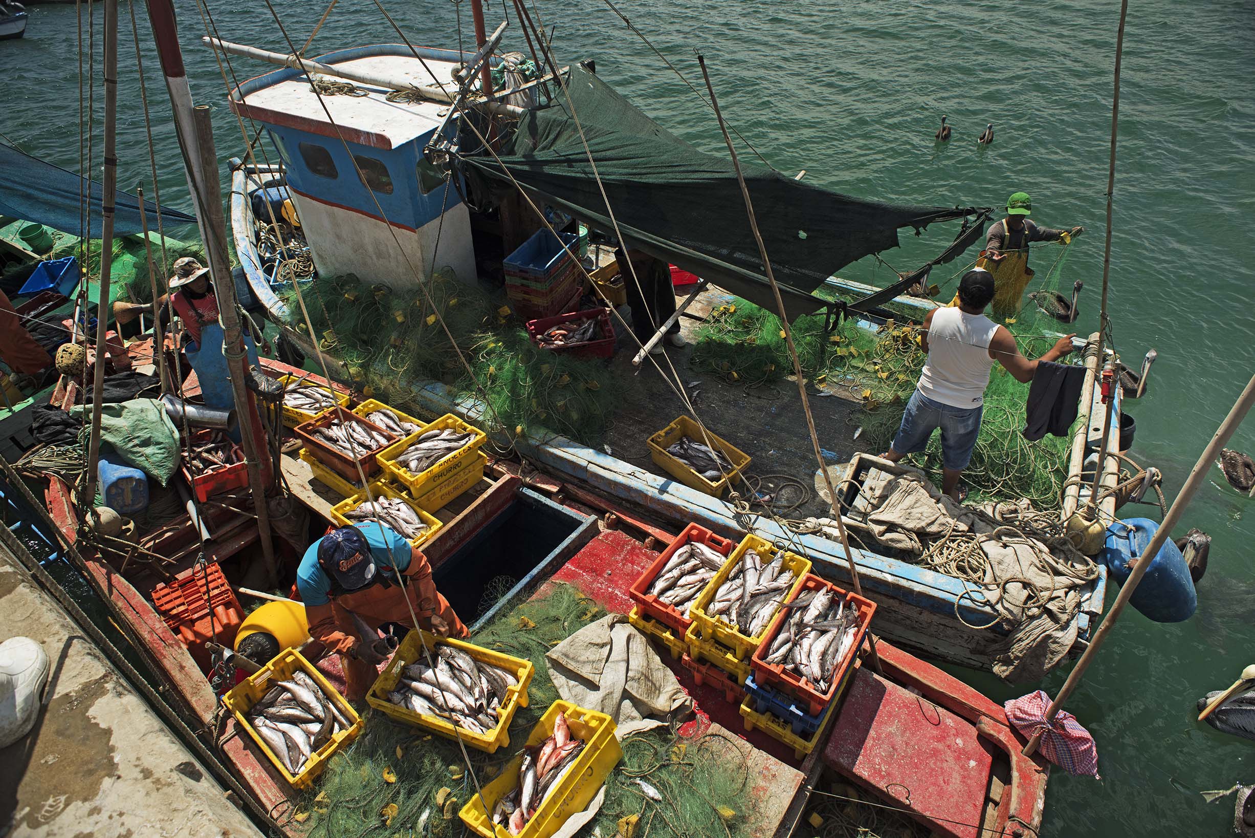 pesca-artesanal-merluza-walter-wust