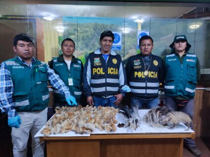 alasitas_2023_serfor