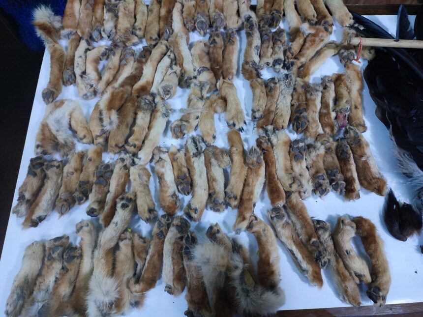 alasitas_2023_serfor1