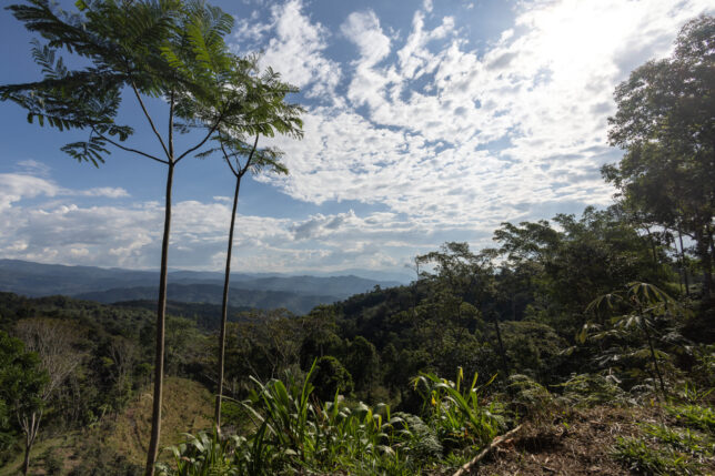 caserío El Limón2_Marlondag_SPDA GCF22-10-11_195
