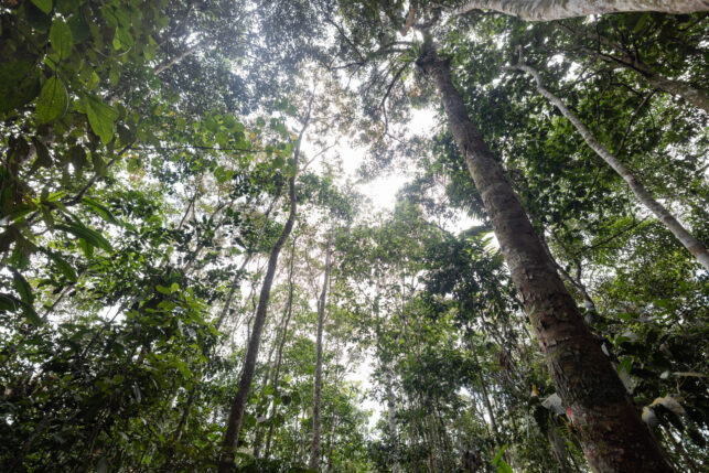 caserío El Limón_1Marlondag_SPDA GCF22-10-11_131