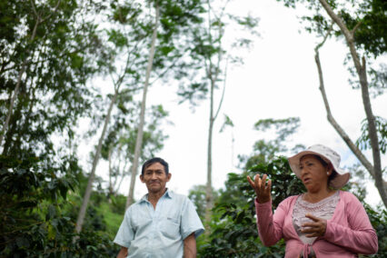 caserío el Limón_Marlondag_SPDA