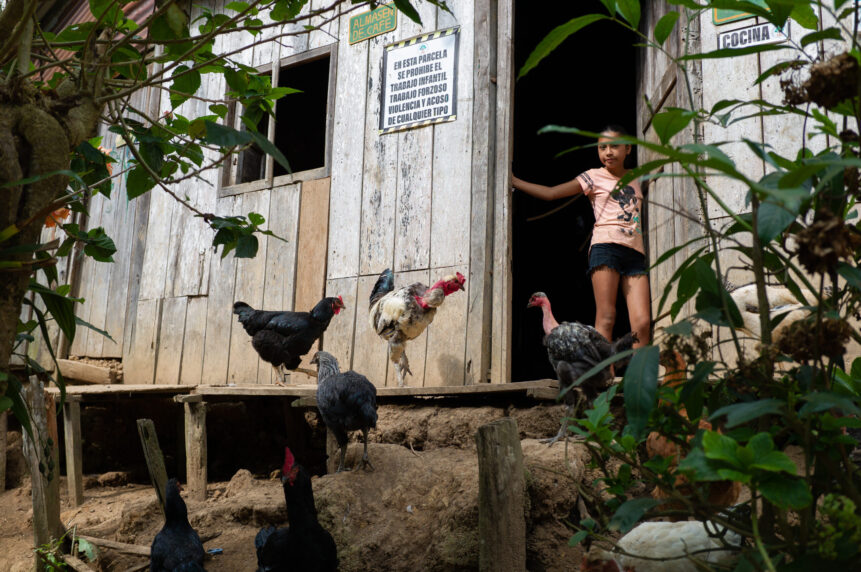 caserío_El Limón_Marlondag_SPDA GCF22-10-11_184