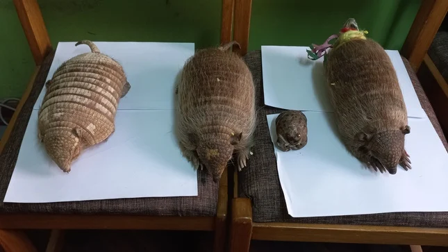 decomisos_alasitas 2022_serfor