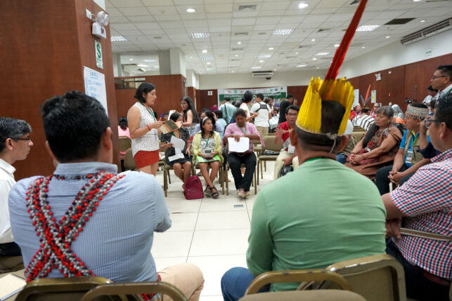 defensores-indigenas-en-pucallpa---spda2