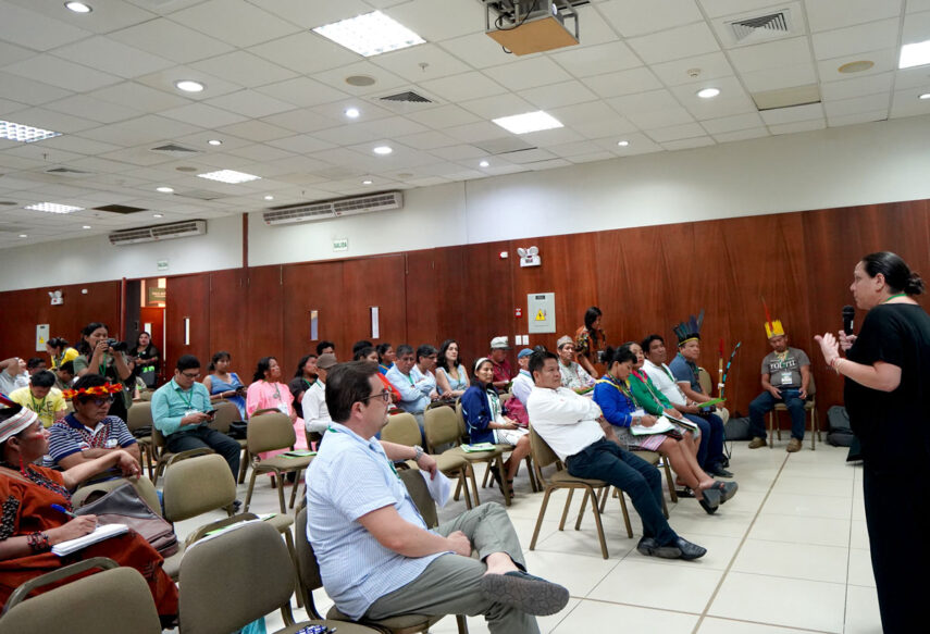 silvana-baldovino---pucallpa---defensores-indigenas---spda