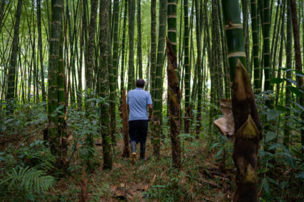 Normel Pérez_agrofor_spda