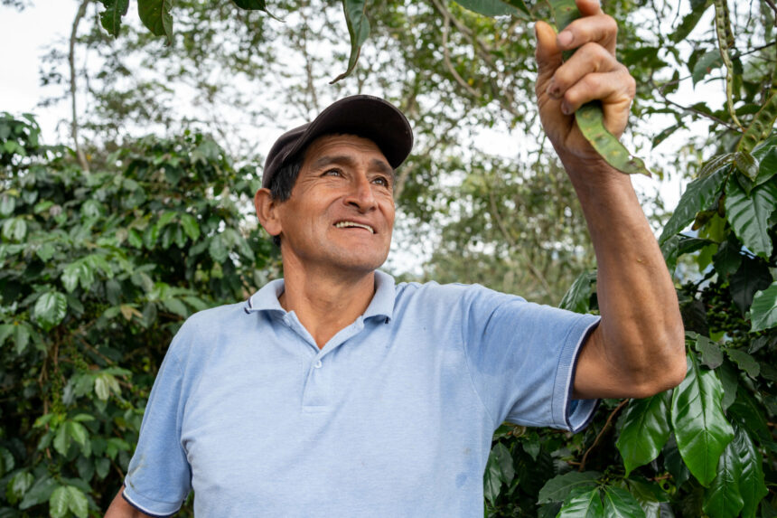 Normel Pérez_agrofor_spda2