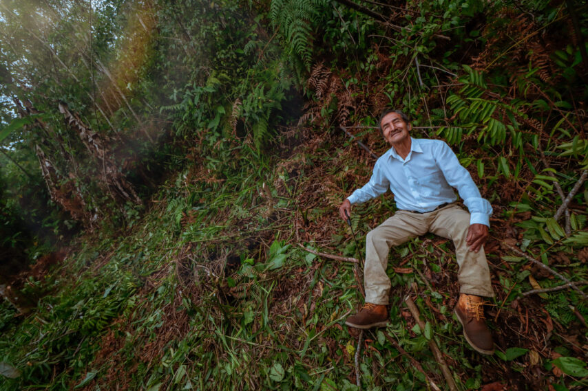 Pedro Grandez_agrofor_spda