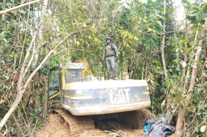 mineria ilegal - barranco chico - madre de dios - fema4