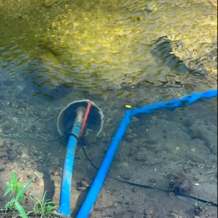 delitos ambientales neymar_difusión