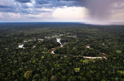 tapiche-blanco---loreto---diego-perez---spda