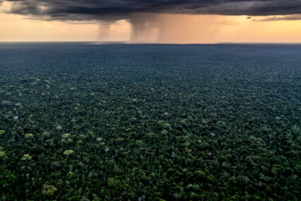 tapiche-blanco---loreto---diego-perez---spda1