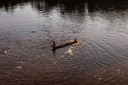 tapiche-blanco---loreto---diego-perez---spda10