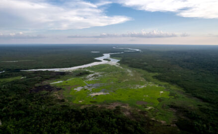 tapiche-blanco---loreto---diego-perez---spda3