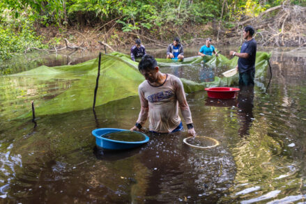 tapiche-blanco---loreto---diego-perez---spda7