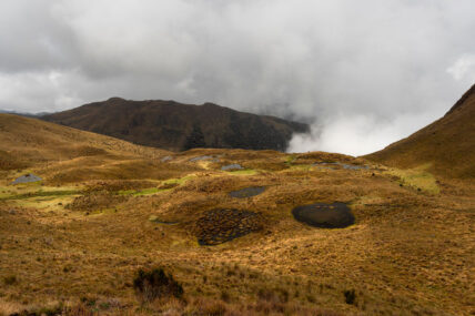 Área de Conservación Regional Chontabamba-Huancabamba