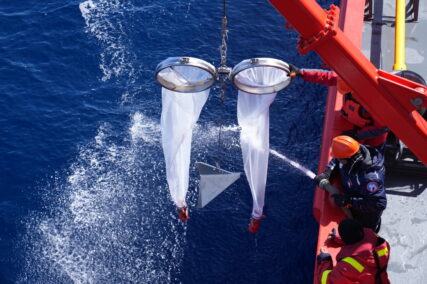 Redes de colecta de krill