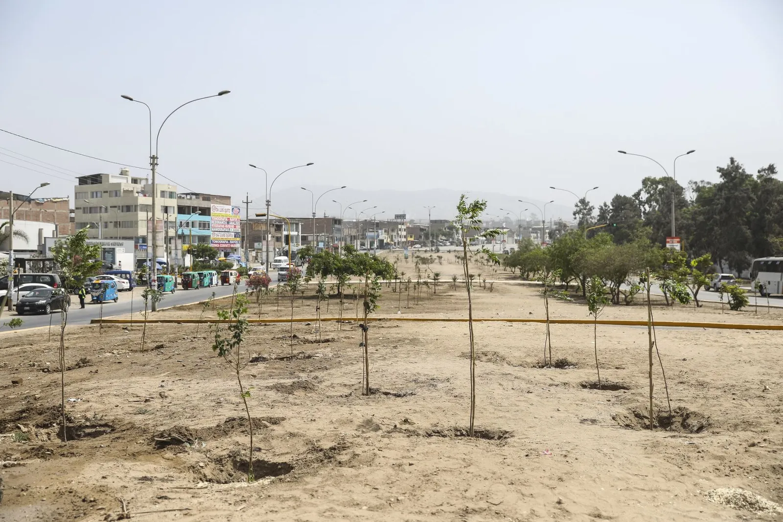 áreas verdes en Lima, Andina