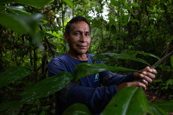Presidente de la comunidad nativa Boca Pariamanu tiene más de 40 años dedicados a la medicina natural.