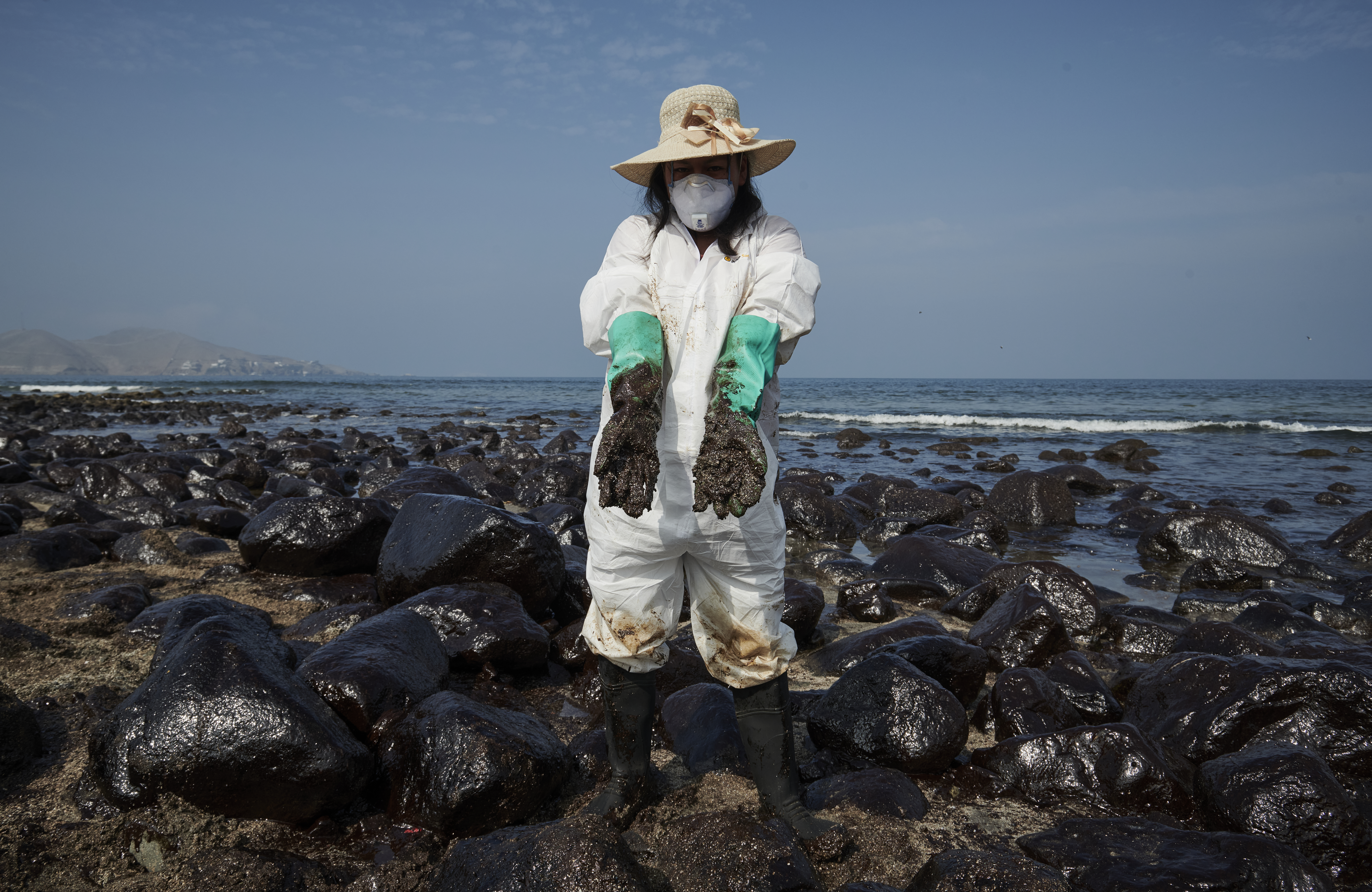 Foto: Gustavo Arrue / SPDA