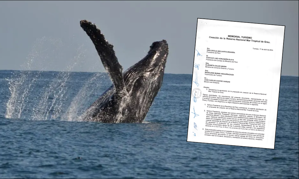 Mar Trop de Grau. Foto: Andina