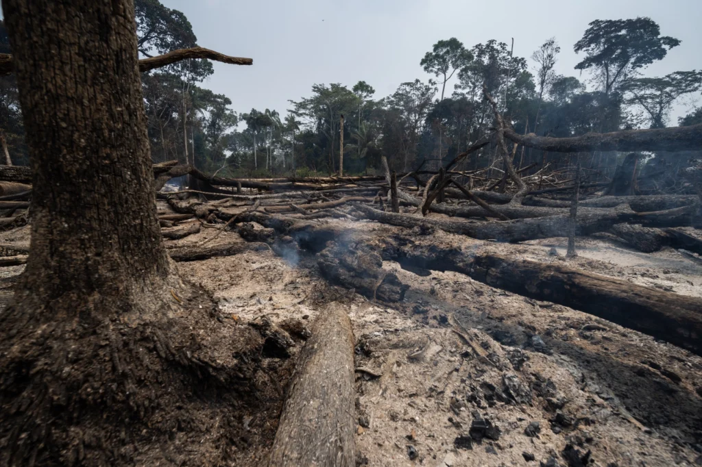 Clima, incendios forestales y conflictos en las áreas de conservación regional