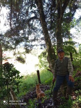 acp bosque nublado 1