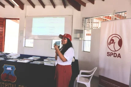 tortugas marinas-ximena mejia-spda