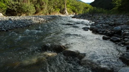 Conservación Regional Bosques Secos Interandinos de Cutervo - sernanp