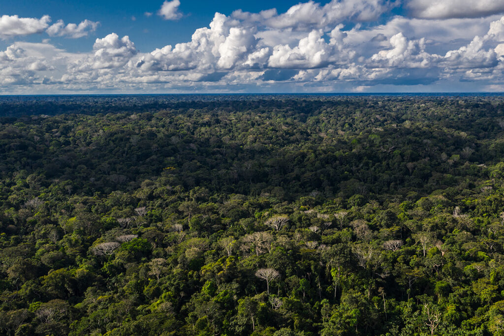boca pariamanu tiene un bosque llamado Papa Francisco.